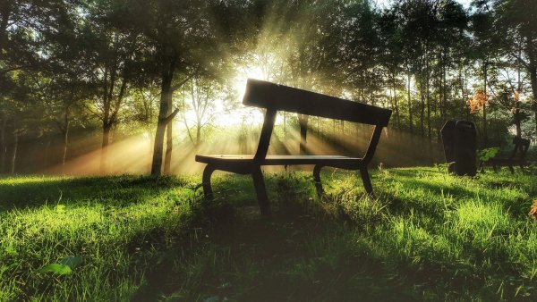 Волшебная скамейка