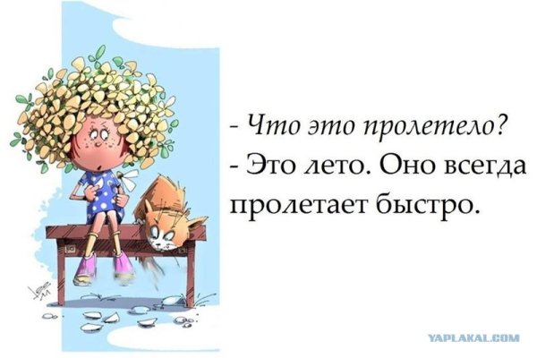Приколы про лето