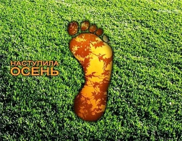 Осень наступила прикол