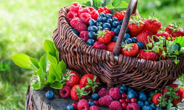 Летние ягоды