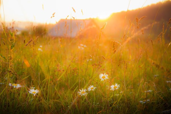 Летний зной