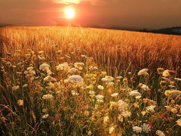 Лето август