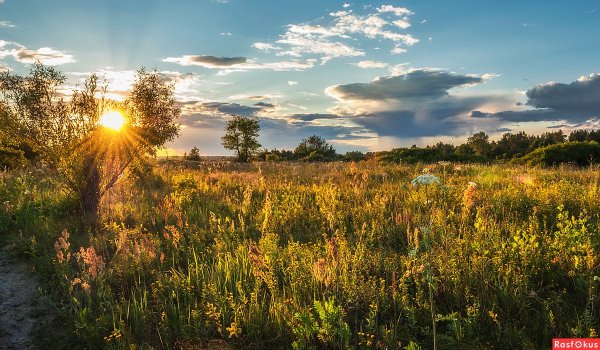 Летний зной