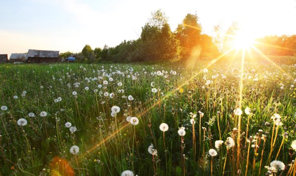 Солнечная погода