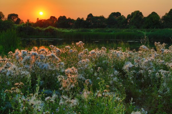 Летний закат на даче