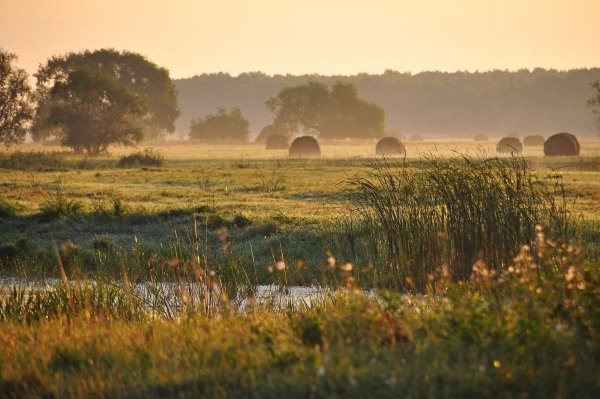 Лето жара пляж