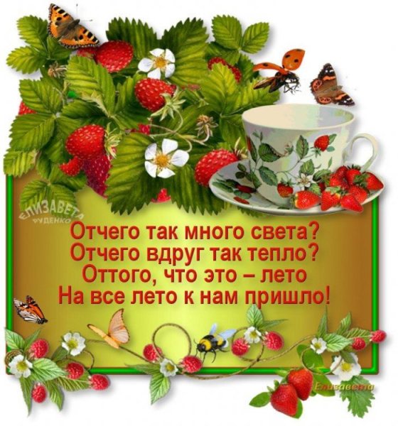 Открытки с летом