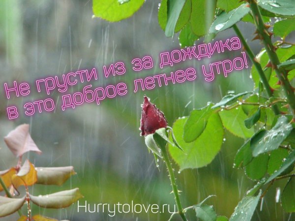 Доброе утро дождь