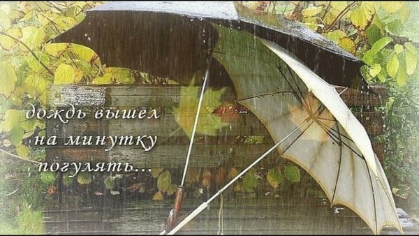 Осень окно дождь цветы