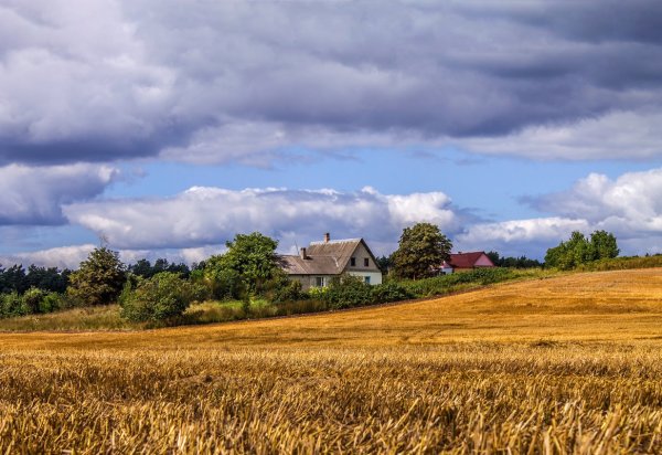 Деревня пшеничные поля деревня Церковь