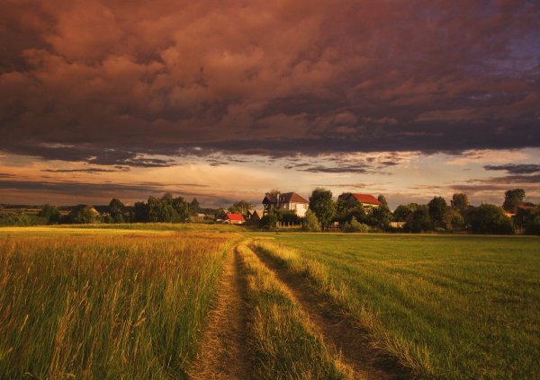 Деревенский пейзаж перед грозой