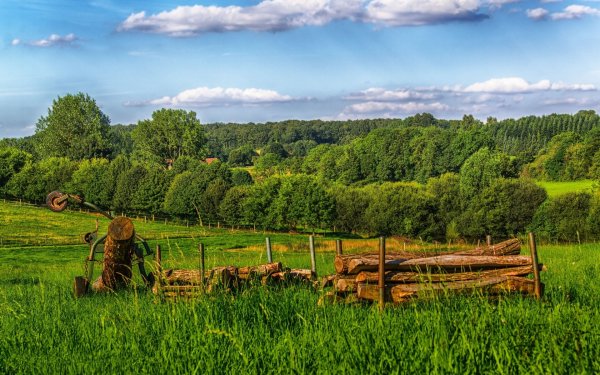 Лето поле деревня