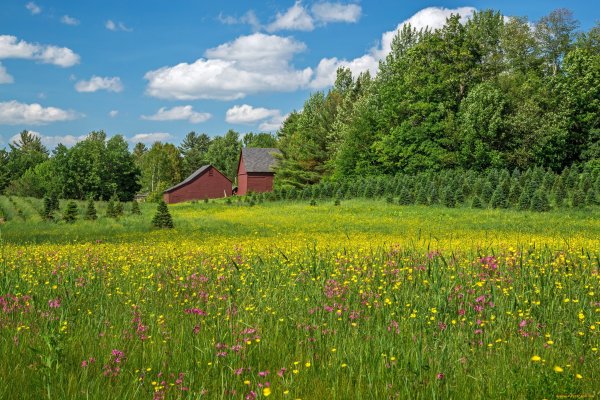 Красивые Деревенские пейзажи