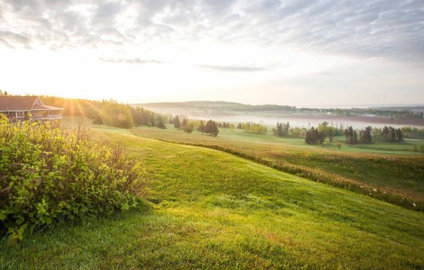 Поле деревня