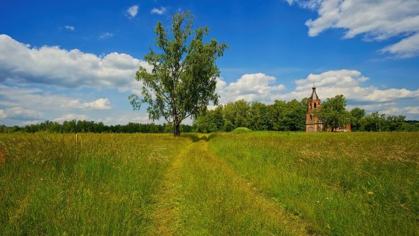 Поля село церквушка Россия