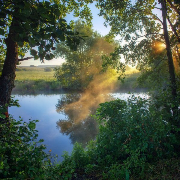 Утренняя река