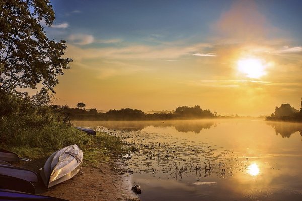 Летнее утро на речке