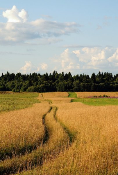 Холмистая равнина Карелии