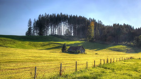 Река изгородь деревня лето