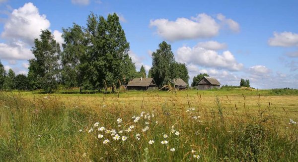 Летний закат