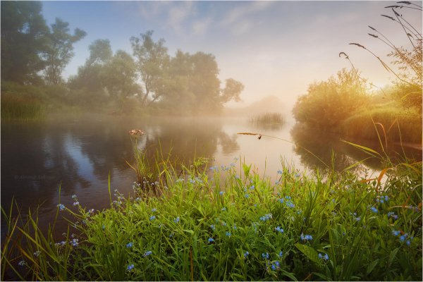Летнее утро на реке