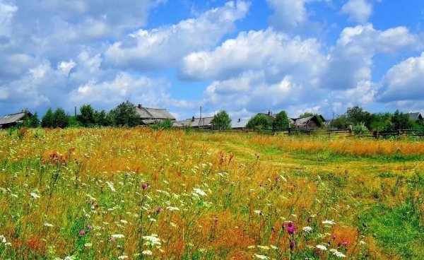 Ландшафт местности