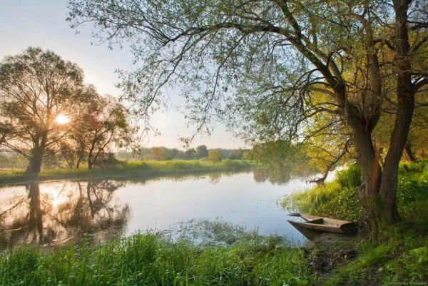 Липецк река Дон пейзажи