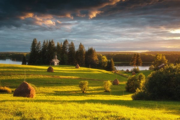 Пейзажи природы лето