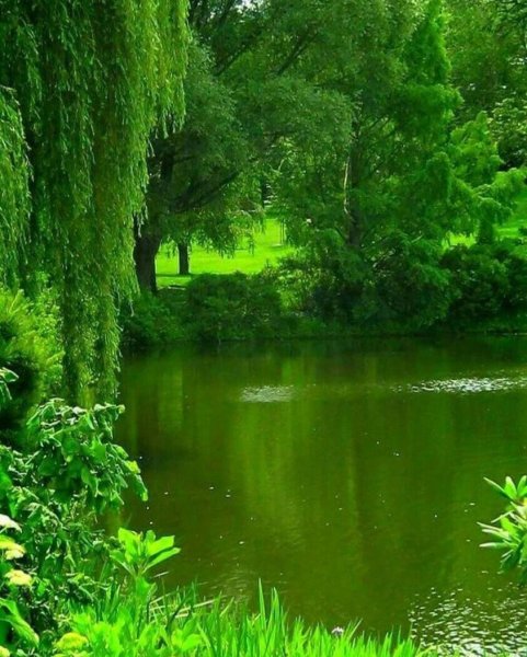 Фон для презентации природа