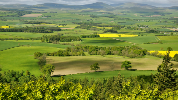 Путешествия по миру