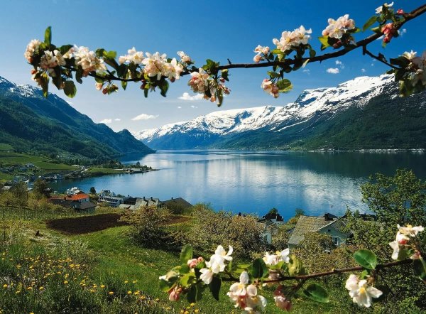 Туризм Канады. Ванкувер