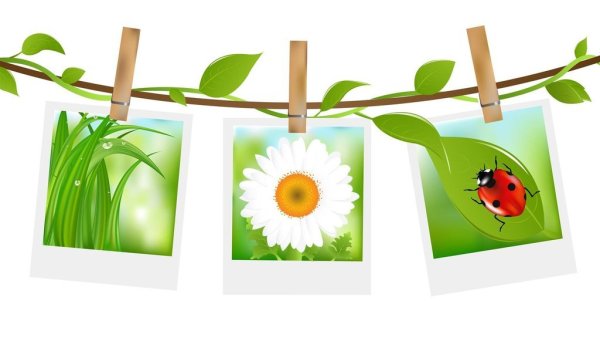 Лето клипарт