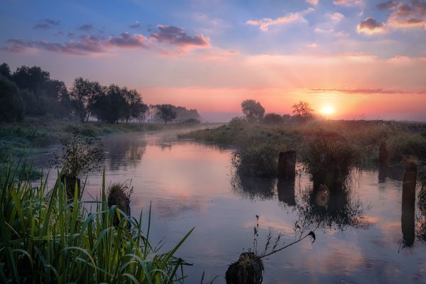 Конец лета природа