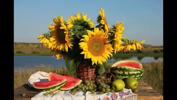 Августовское лето