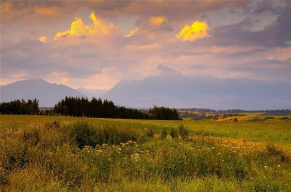 Август пейзаж