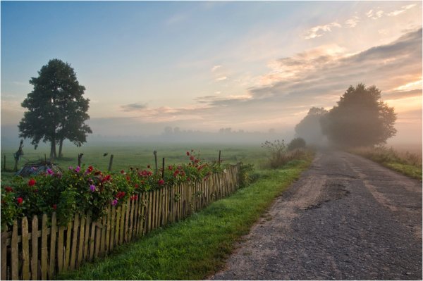 Конец августа природа