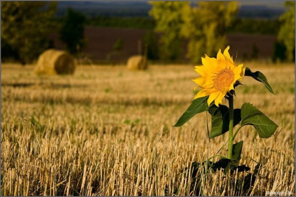 Осенний закат в деревне