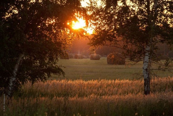 Июльский воздух Луговой