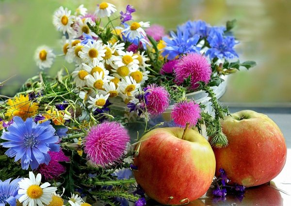 Лето поле подсолнухов