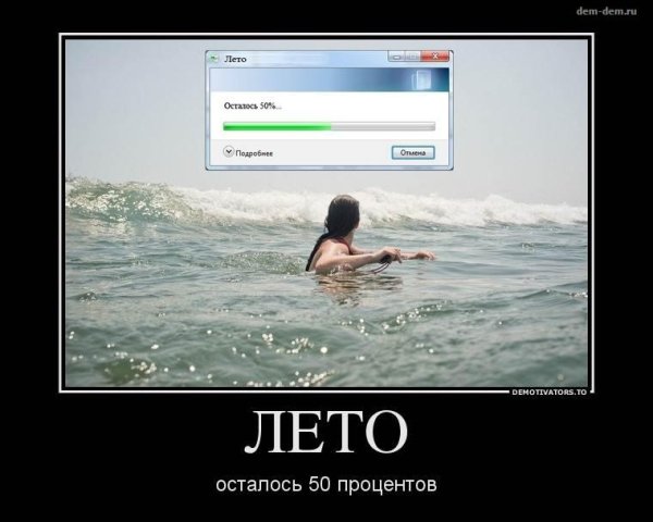 Демотиваторы про лето