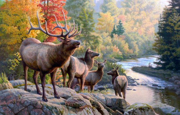 Картины художника анималиста Greg Alexander.