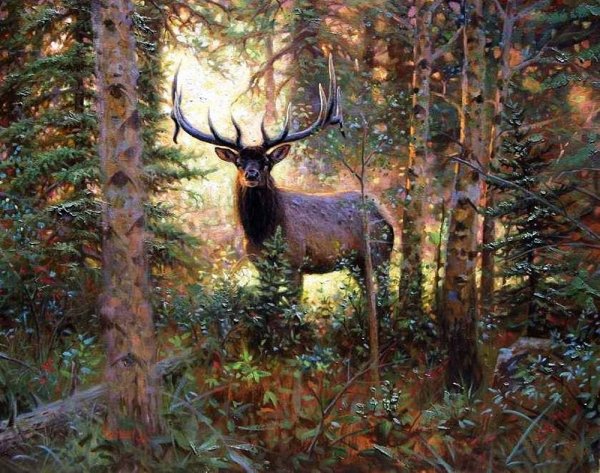 Художник Mark Keathley Лось