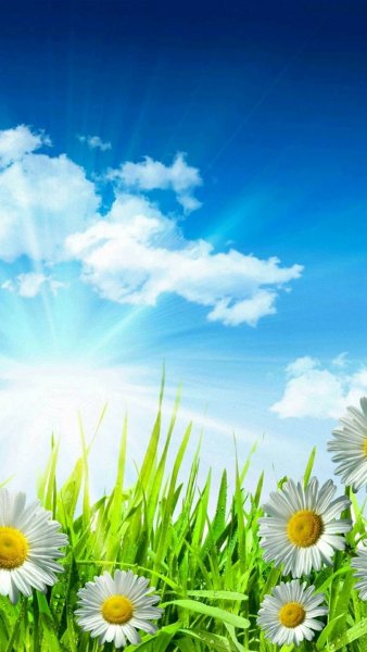 Акварельный фон