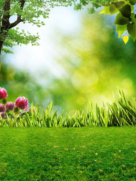 Голубой фон для презентации