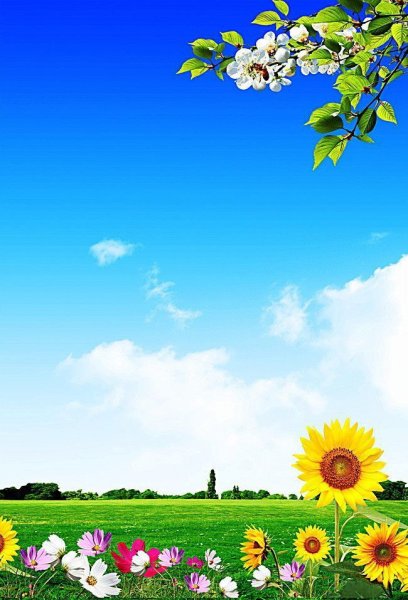 Фон для презентации по экологии