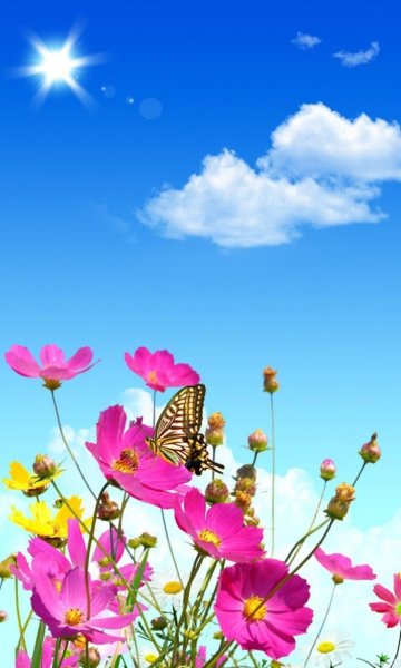 Летнее море