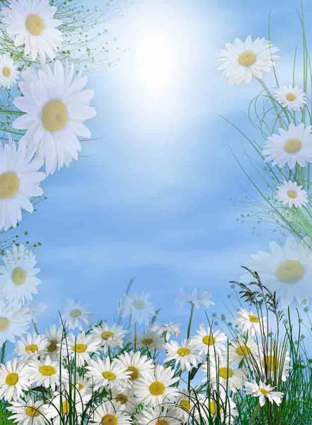 Летнее поле