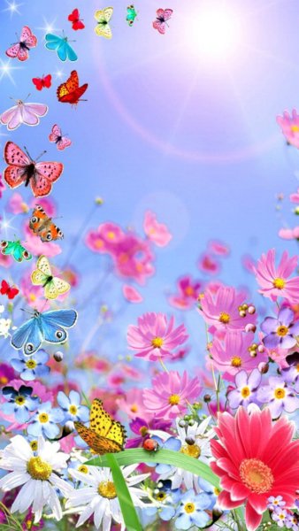 Летний фон для презентации