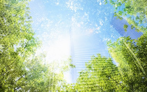 Фон для детского сада вертикальный