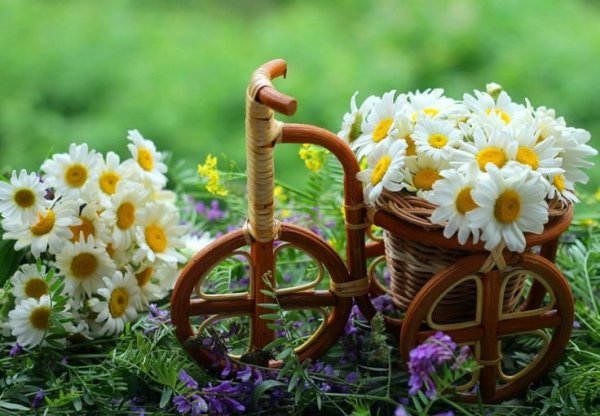 Shivaki STV-43led30c Smart